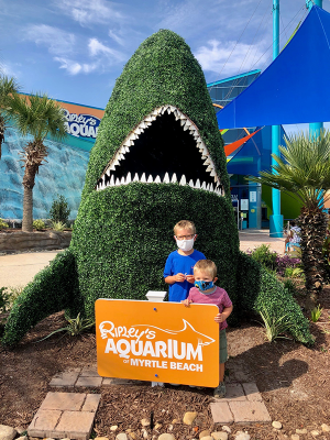 リプリーズ水族館とロッキン・ジャンプ、子ども向けの楽しさと安全対策の強化
