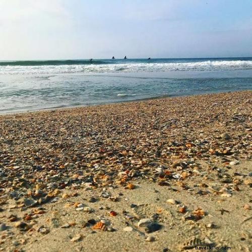 サウスカロライナ・マートルビーチで夏と貝殻探しを楽しむ
