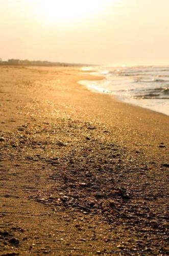 サウスカロライナ・マートルビーチで夏と貝殻探しを楽しむ