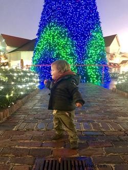 ブロードウェイ・アット・ザ・ビーチの壮大なクリスマスツリー