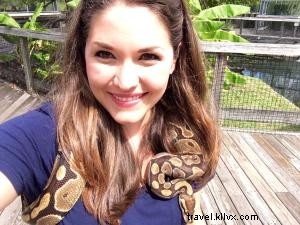 アリゲーターアドベンチャー：爬虫類の聖地で体験する自然の驚き