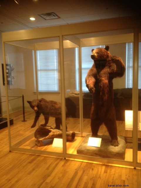 コンウェイの新館で再開されたホリー郡博物館の歴史