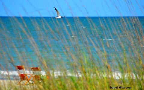 GoogleディスプレイネットワークでMyrtle Beachの認知度を向上