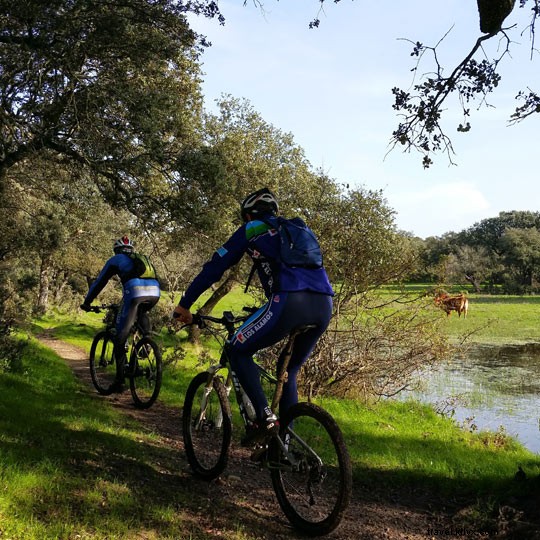 スペインはマウンテンバイクの楽園 – 絶景トレイルと充実施設の全貌