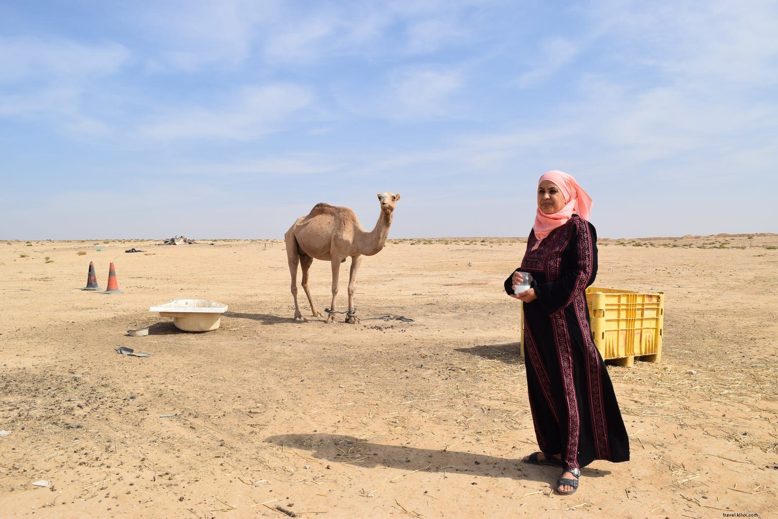 イスラエル・ネゲブ砂漠を体験するベストガイド