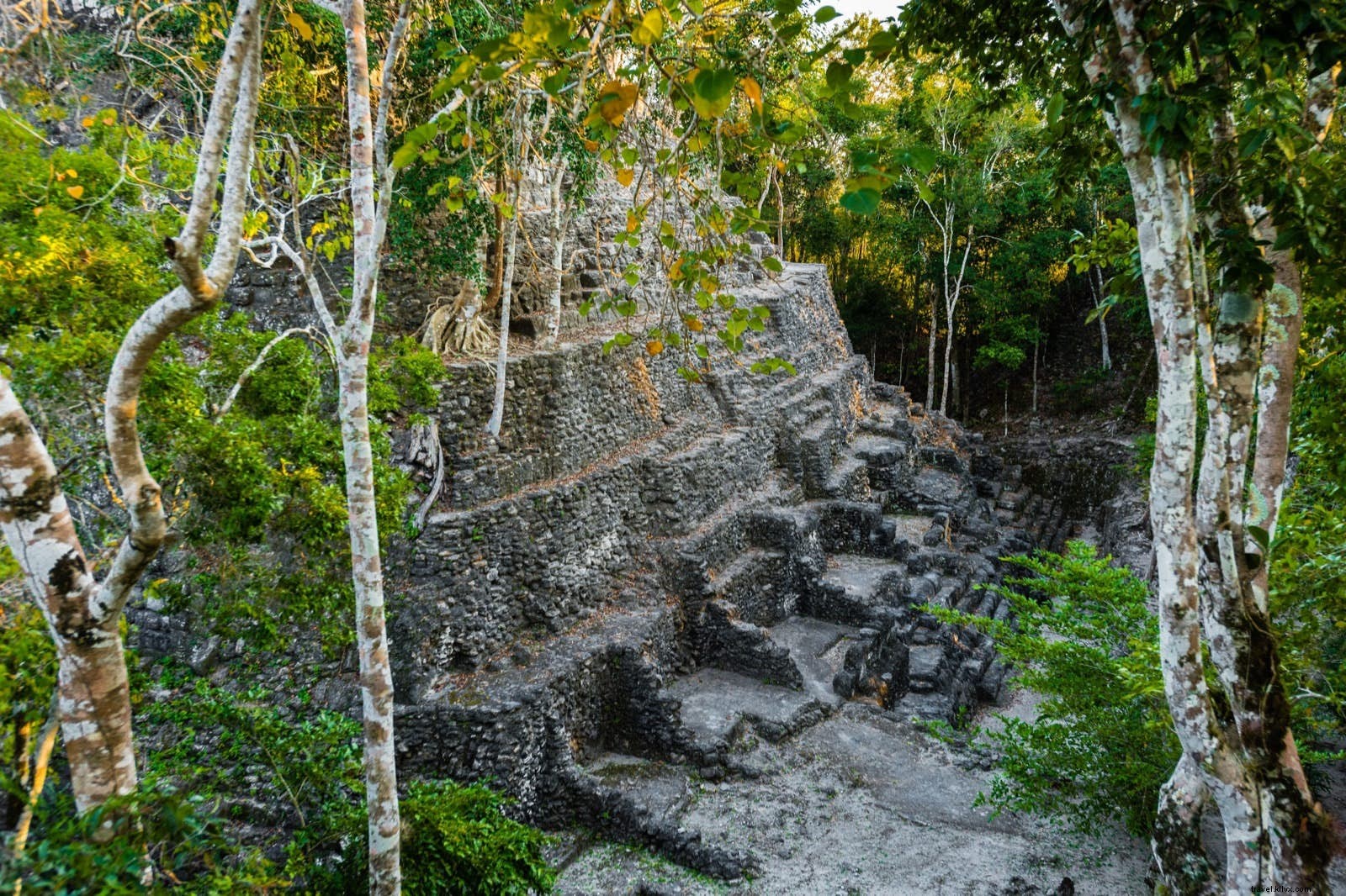 エル・ミラドール探検：グアテマラの神秘的なマヤ遺跡を巡る旅