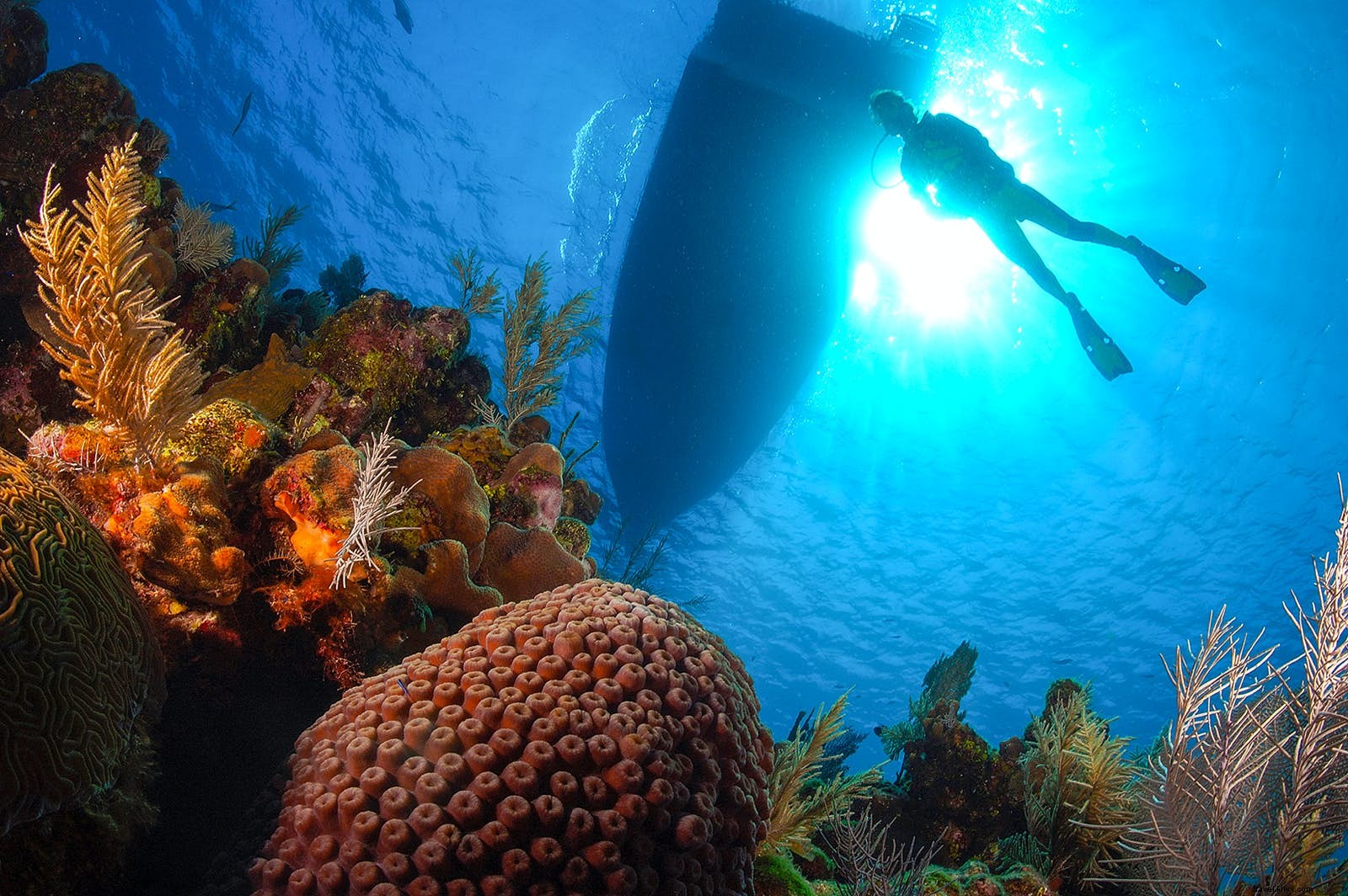 中央アメリカ・カリブ海の島々を巡る旅