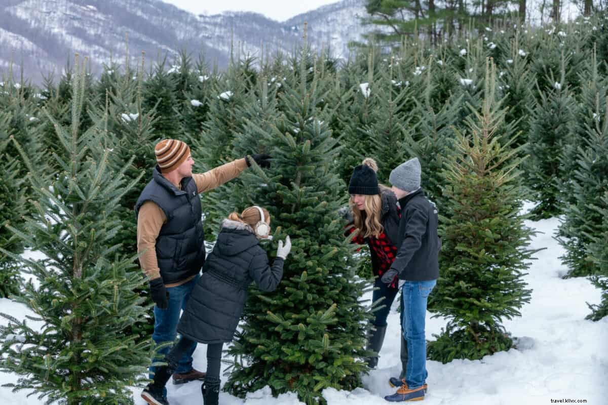 完璧なクリスマスツリーを選びましょう