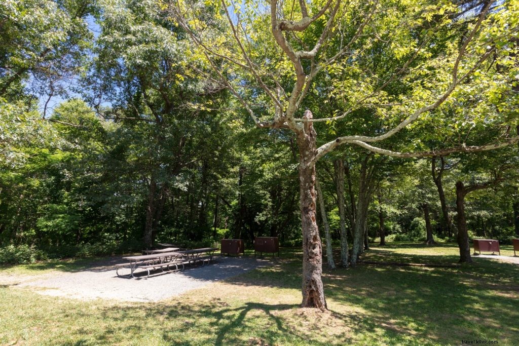 シェナンドー国立公園でキャンプを楽しむための完全ガイド