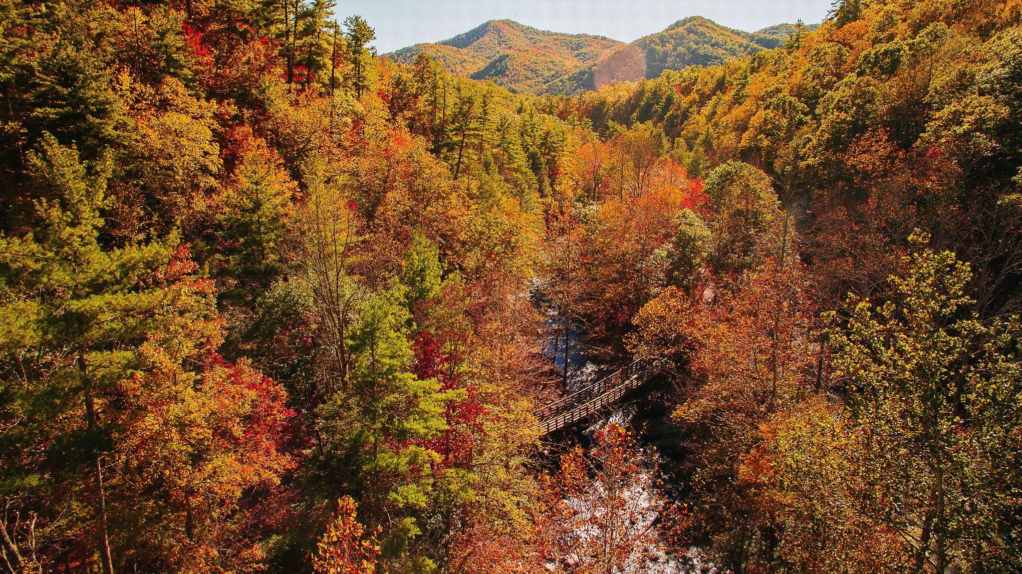 WanderLove：ロアノークからアビンドンへ、バージニア西南部の絶景ロードトリップ