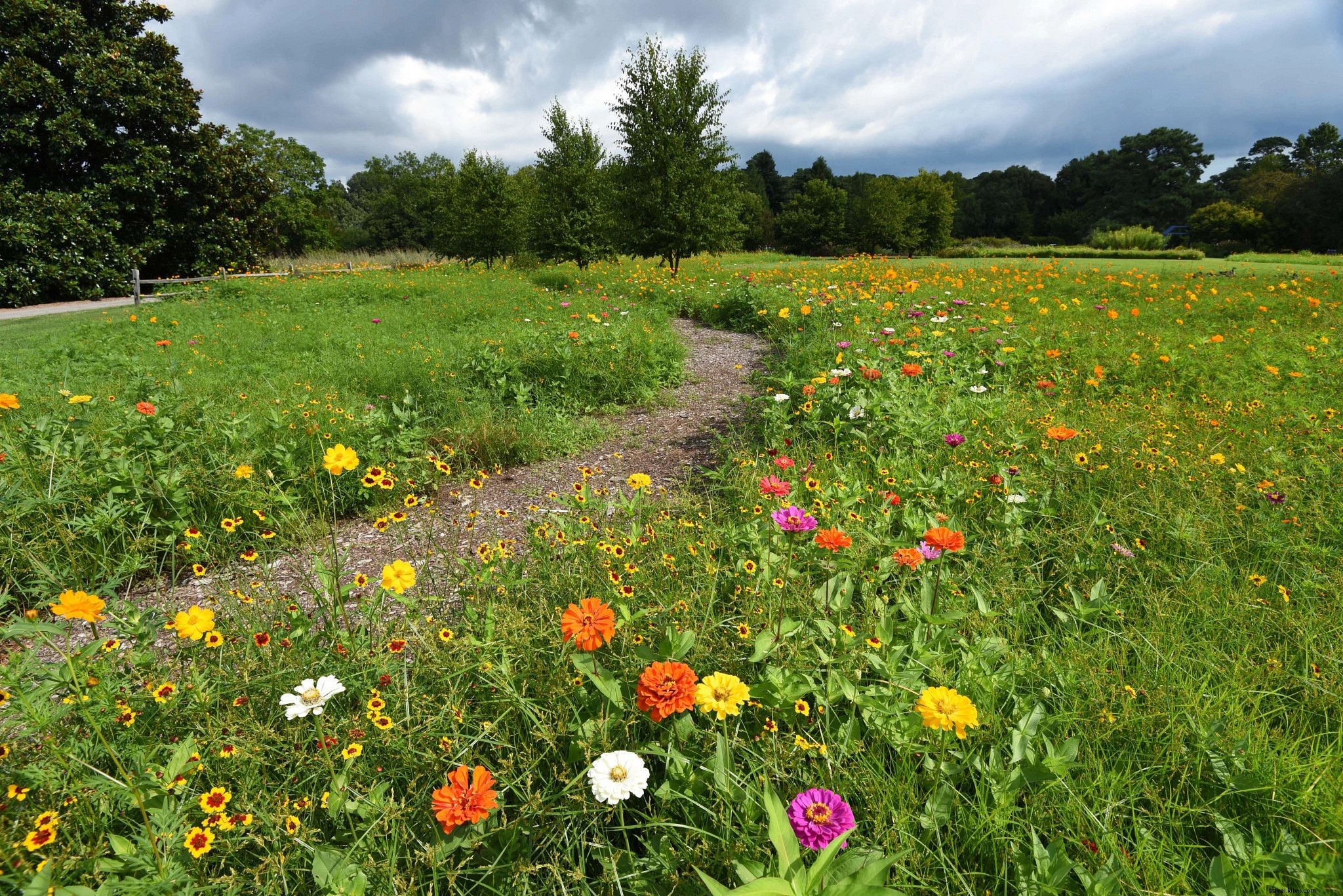 彩り豊かな春の花が咲くスポットと楽しみ方