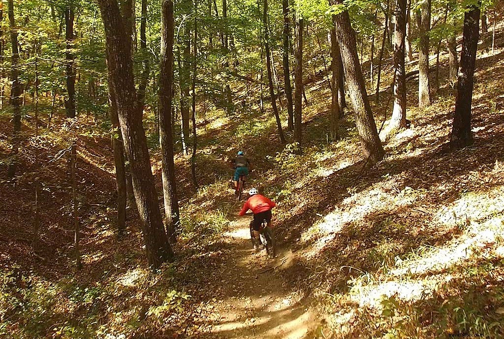 バージニア州で驚くべきマウンテンバイクトレイルが楽しめる4つの州立公園