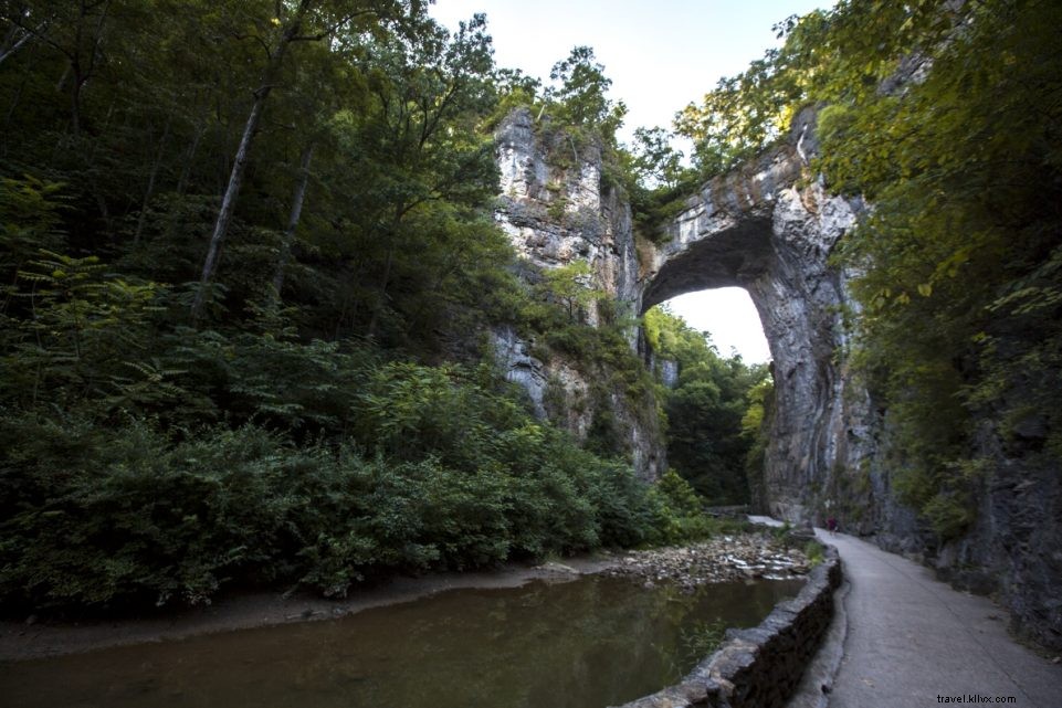ジェームズ川沿いの忘れられない3つの旅路（陸と水）