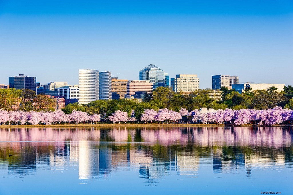 バージニア州で絶景の桜を楽しむスポット