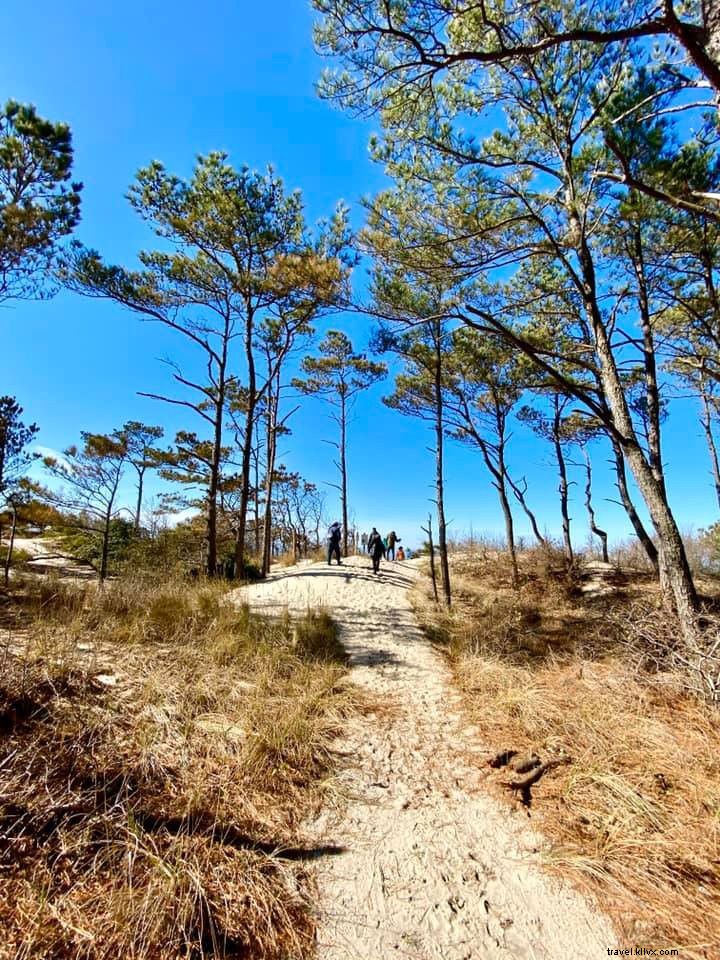 バージニア州の知られざる絶景ハイキング10選
