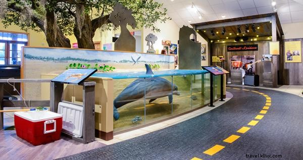クレオール・ネイチャートレイル・アドベンチャーポイント:日常を離れた笑顔が広がる