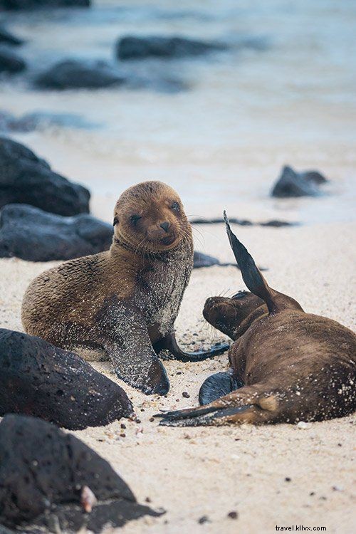 ガラパゴス諸島旅行の持ち物リスト