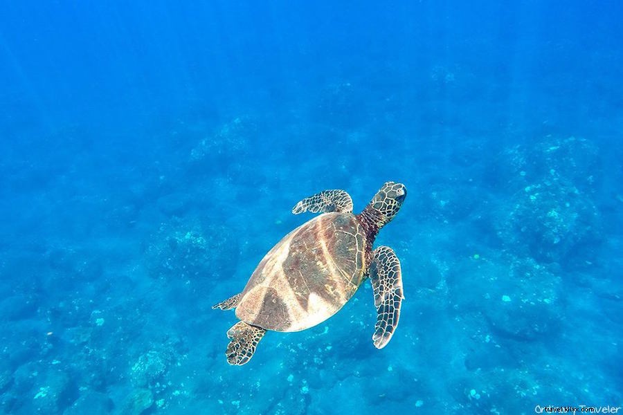 理想のハワイ旅行にぴったりの島を選ぶ方法