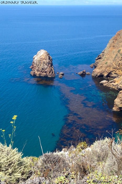 カリフォルニア・チャンネル諸島旅行完全ガイド