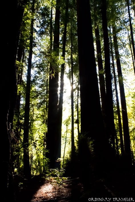 カリフォルニアで最高のキャンプスポットと必携旅行ヒント