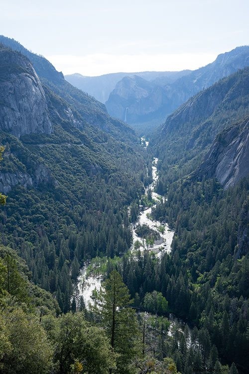 JUCYキャンピングバンでカリフォルニア旅行を楽しむ完全ガイド