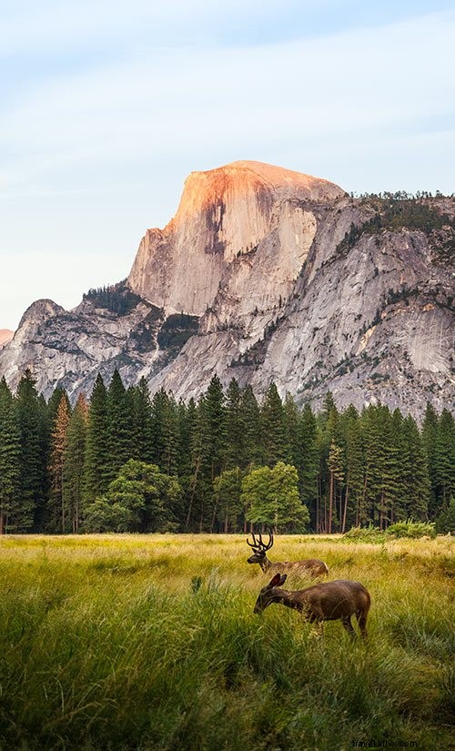 カリフォルニアのベスト写真撮影スポット