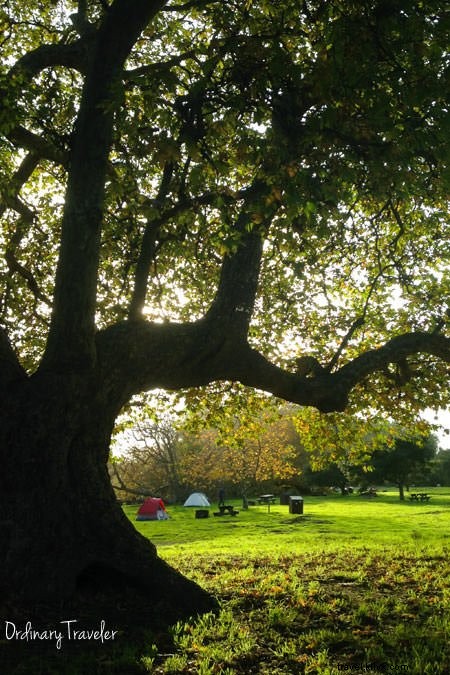 カリフォルニア・セントラルコースト旅行ガイド：必見スポットとおすすめ情報
