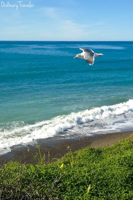 カリフォルニア・セントラルコースト旅行ガイド：必見スポットとおすすめ情報