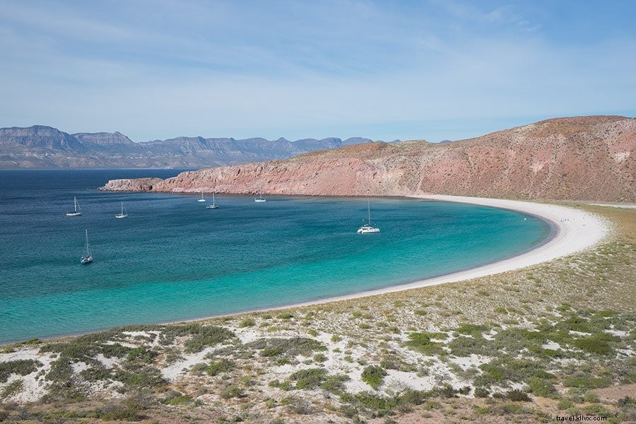 コルテス海（メキシコ）で訪れるべき最高の島と必携アイテム
