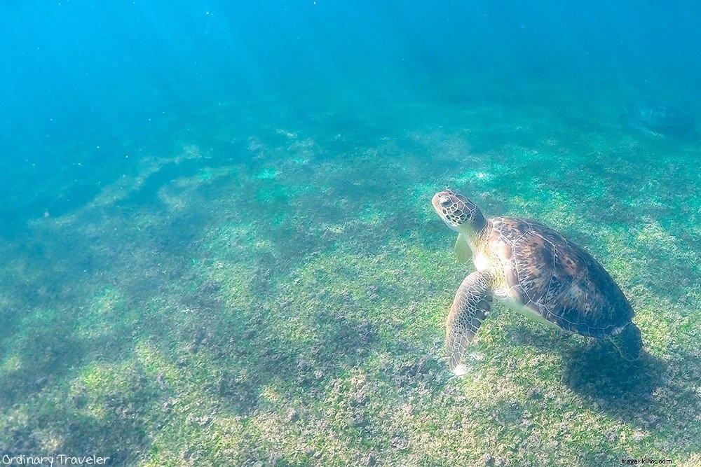メキシコ・ユカタン半島で体験すべき10の魅力