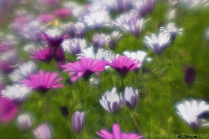 Lensbabyクリエイティブエフェクトキットでシュールな写真を撮る方法