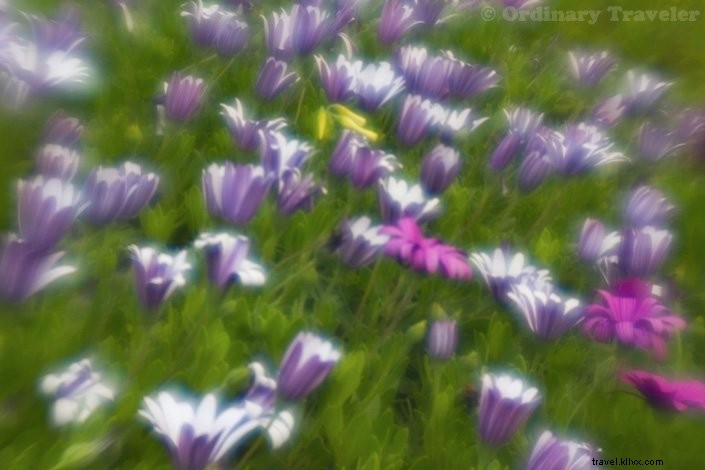 Lensbabyクリエイティブエフェクトキットでシュールな写真を撮る方法