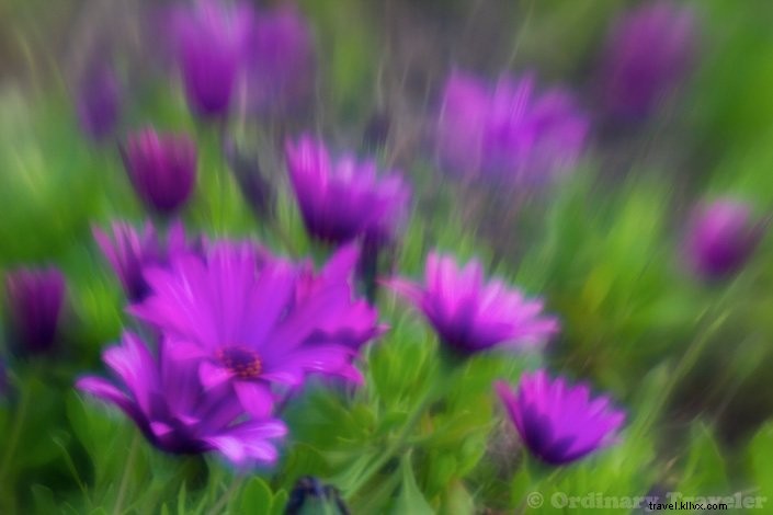 Lensbabyクリエイティブエフェクトキットでシュールな写真を撮る方法