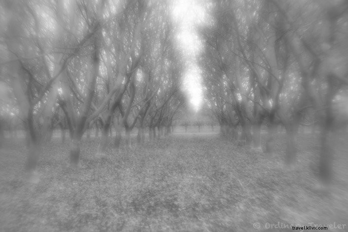 Lensbabyクリエイティブエフェクトキットでシュールな写真を撮る方法