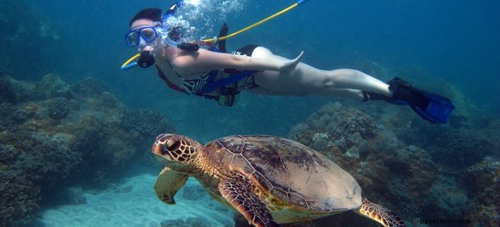マウイ島を訪れたくなる8つの魅力