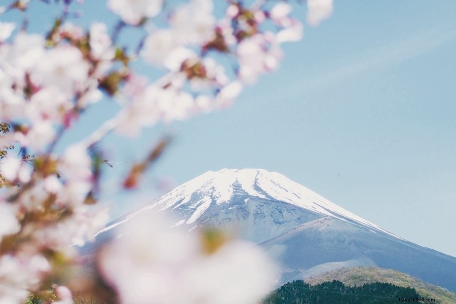日本旅行のすべてのヒント:知っておくべきポイント