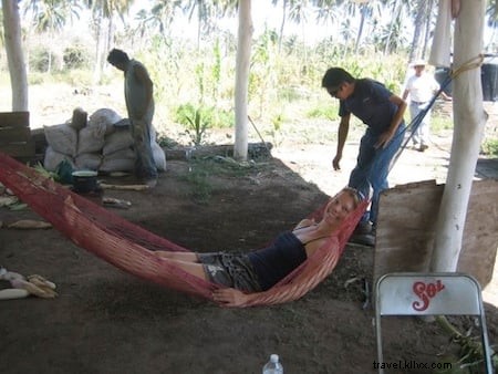 バラ・デ・ナビダッド:メキシコの最高の秘宝を発見