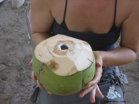 バラ・デ・ナビダッド:メキシコの最高の秘宝を発見