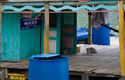 北ベトナム旅行ガイド：ハノイ、ハロン湾、カットバ島の魅力と旅のコツ