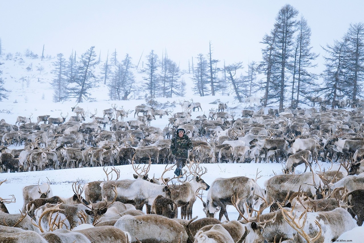 ロシア・カムチャツカ半島の野生トナカイ牧畜民に出会う旅