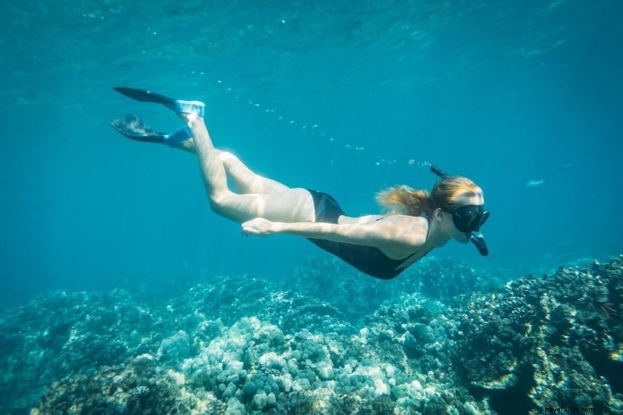 ハワイ島で絶対に体験したい10のアクティビティと旅行プラン