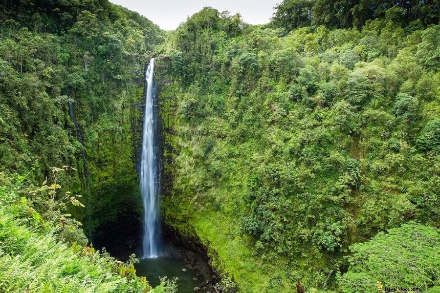 ハワイ島で絶対に体験したい10のアクティビティと旅行プラン