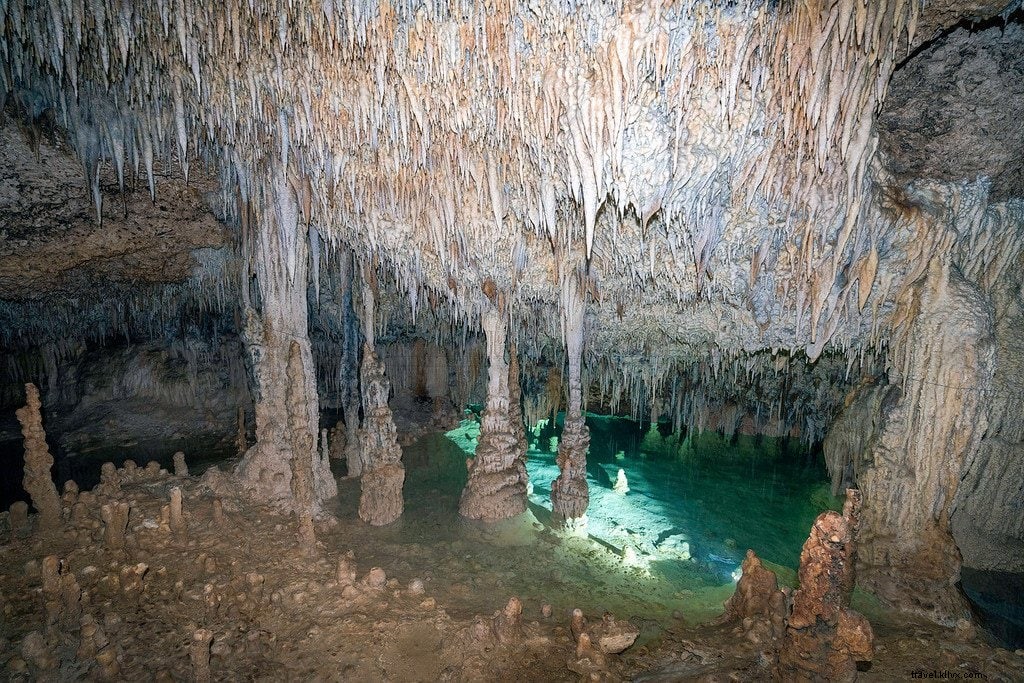 リオ・セクトロ：メキシコの地下河川と洞窟を探検