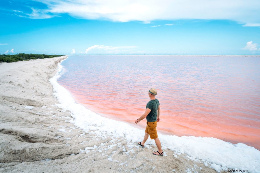 メキシコ・ラス・コロラダスの驚くべきピンク湖