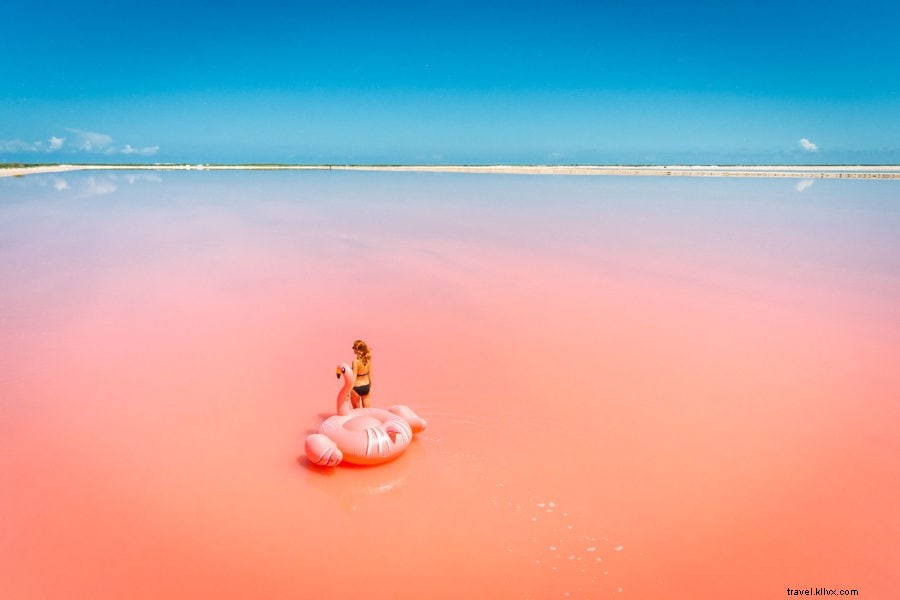 メキシコ・ラス・コロラダスの驚くべきピンク湖