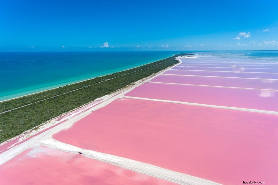 メキシコ・ラス・コロラダスの驚くべきピンク湖