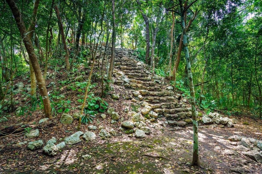 インディ・ジョーンズ気分でコバの古代マヤ遺跡へ登る