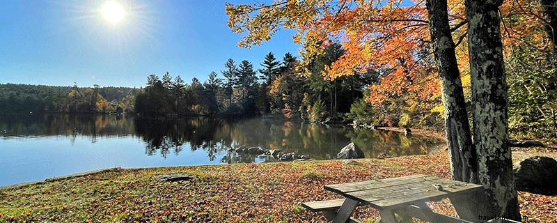 ダートマス・スナピー湖地域で紅葉を楽しむ9つのスポット