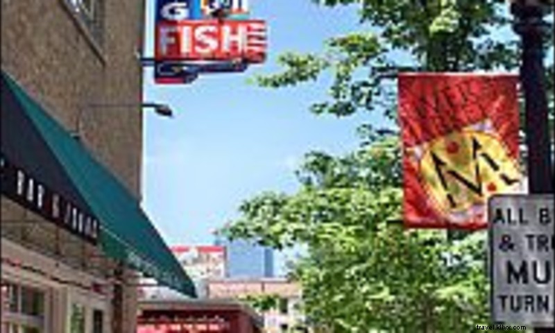 トビウオの概要