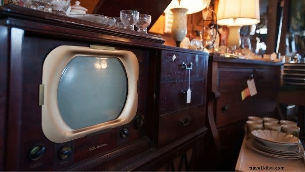 ニューヨーク州で楽しむ12のエコアクティビティ